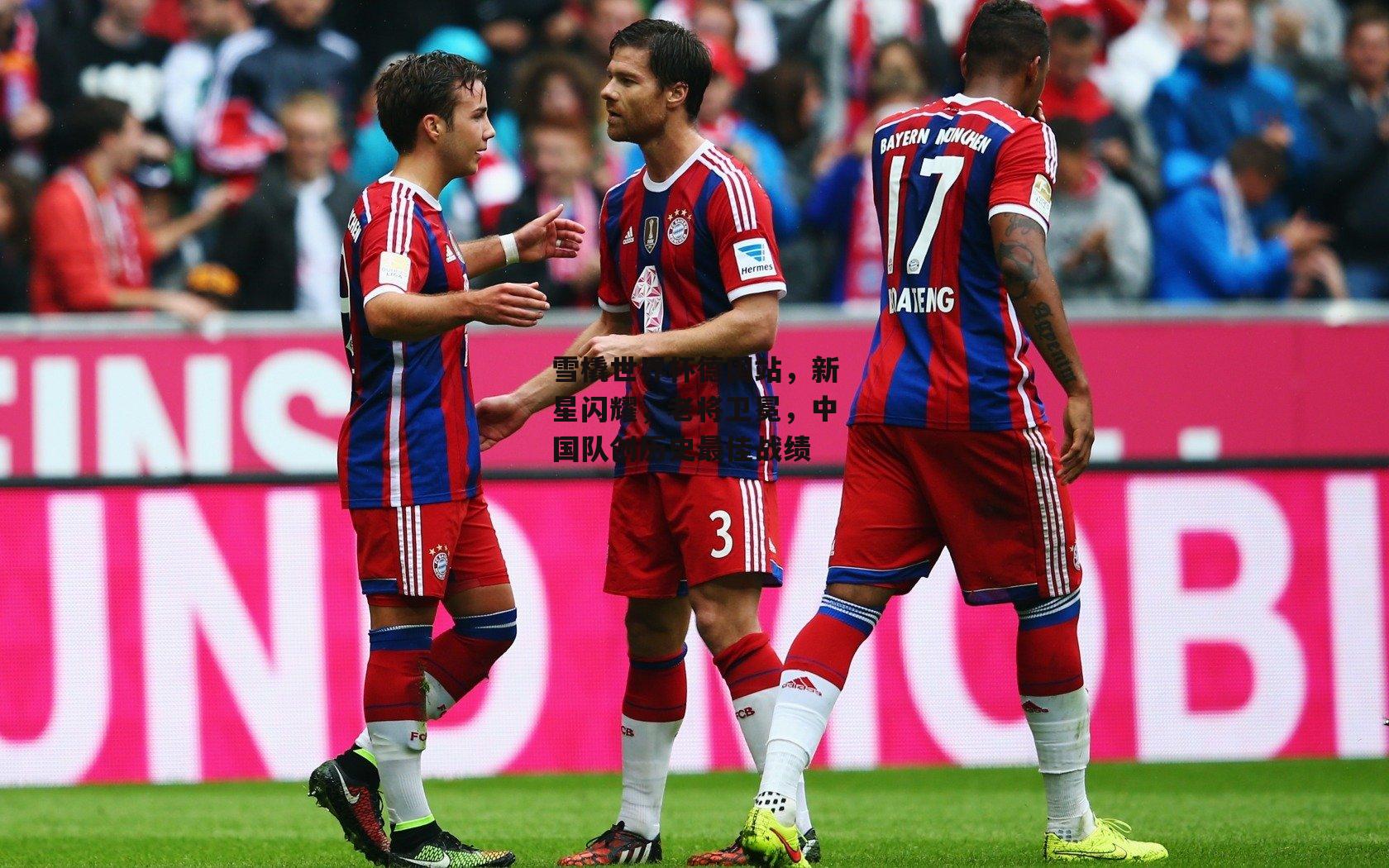 雪橇世界杯德国站，新星闪耀，老将卫冕，中国队创历史最佳战绩