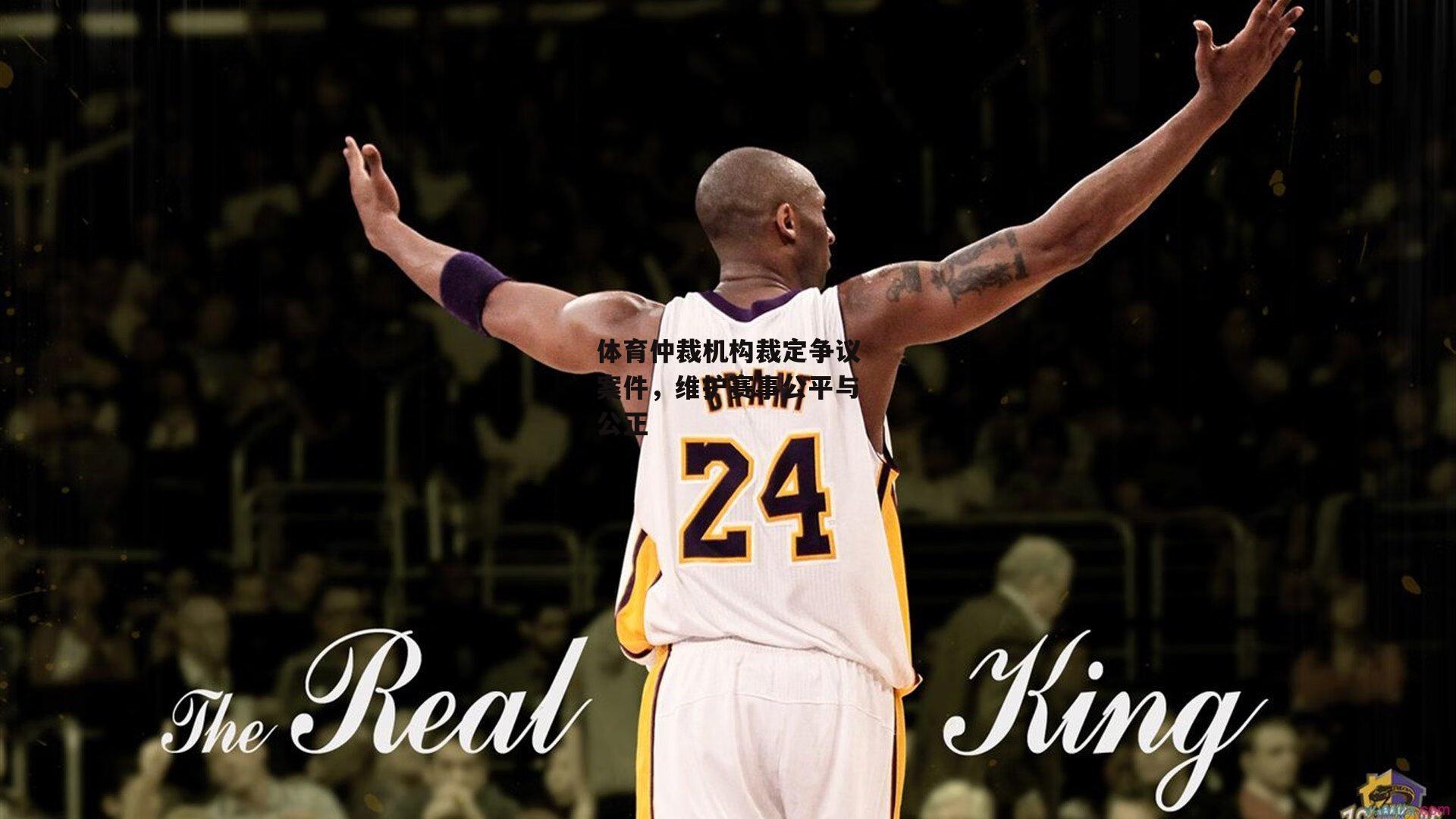 体育仲裁机构裁定争议案件,维护赛事公平与公正