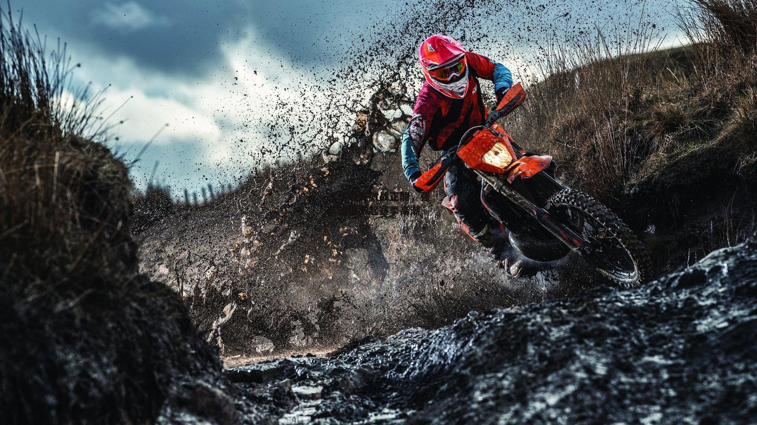 冰球联赛激战正酣，强队碰撞掀起赛季高潮